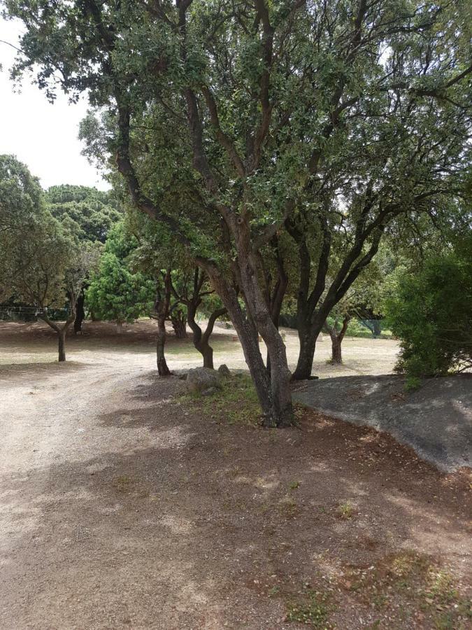 Casa Prescilia Leilighet Lumio  Eksteriør bilde